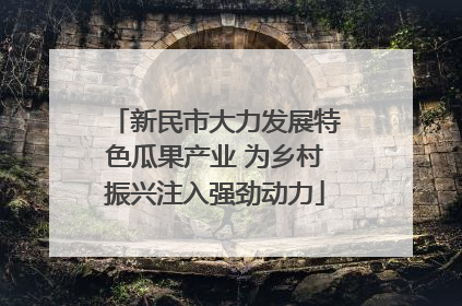 新民市大力发展特色瓜果产业 为乡村振兴注入强劲动力