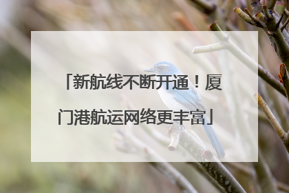 新航线不断开通！厦门港航运网络更丰富