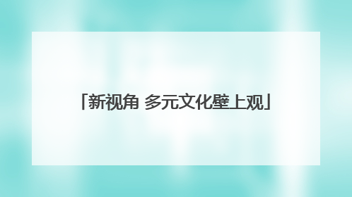 新视角 多元文化壁上观