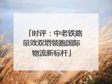 时评：中老铁路量效双增领跑国际物流新标杆