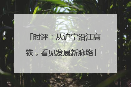 时评：从沪宁沿江高铁，看见发展新脉络