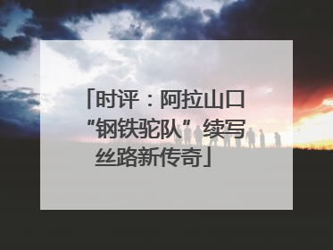时评：阿拉山口“钢铁驼队”续写丝路新传奇