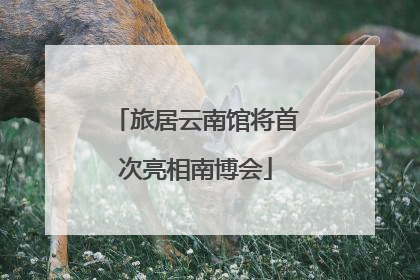 旅居云南馆将首次亮相南博会