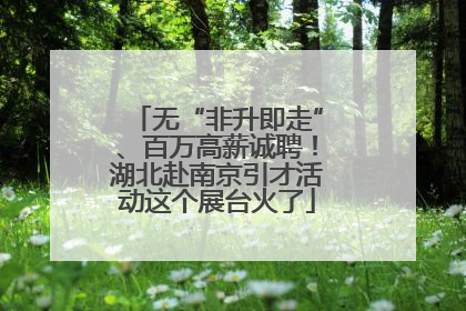无“非升即走”、百万高薪诚聘！湖北赴南京引才活动这个展台火了