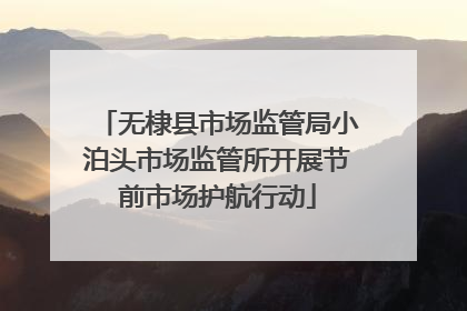 无棣县市场监管局小泊头市场监管所开展节前市场护航行动