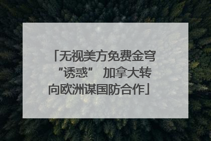 无视美方免费金穹“诱惑” 加拿大转向欧洲谋国防合作