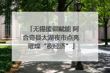 无锡援疆赋能 阿合奇县太湖夜市点亮璀璨“夜经济”
