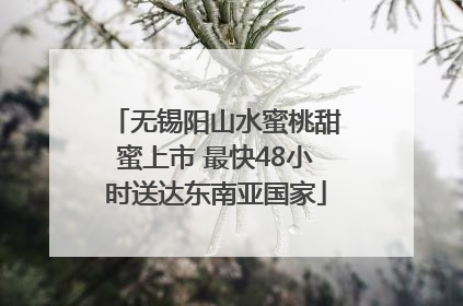 无锡阳山水蜜桃甜蜜上市 最快48小时送达东南亚国家
