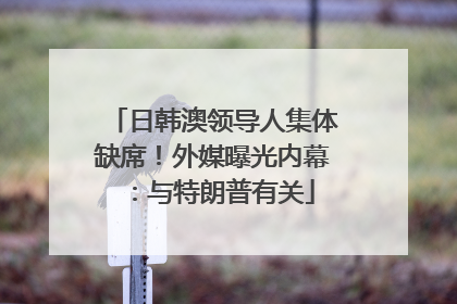 日韩澳领导人集体缺席！外媒曝光内幕：与特朗普有关