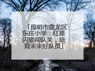 昆明市盘龙区东庄小学：红星闪耀闯队关，培育未来好队员