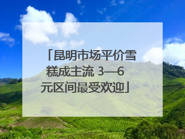 昆明市场平价雪糕成主流 3—6元区间最受欢迎