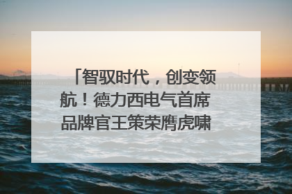 智驭时代，创变领航！德力西电气首席品牌官王策荣膺虎啸奖年度品牌人物