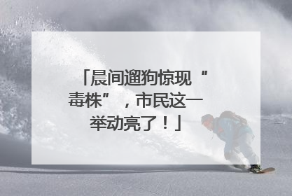 晨间遛狗惊现“毒株”，市民这一举动亮了！