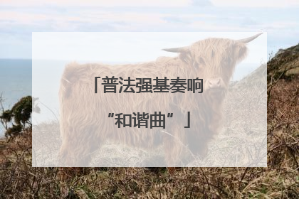 普法强基奏响“和谐曲”