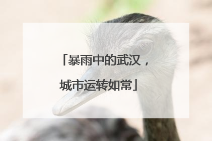 暴雨中的武汉，城市运转如常
