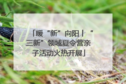 暖“新”向阳丨“三新”领域夏令营亲子活动火热开展
