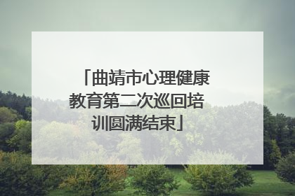 曲靖市心理健康教育第二次巡回培训圆满结束