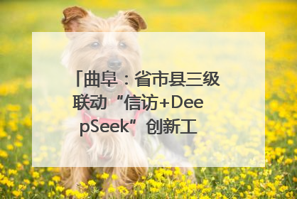 曲阜：省市县三级联动“信访+DeepSeek”创新工作新闻发布会举行