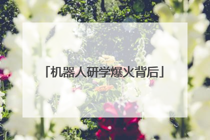 机器人研学爆火背后