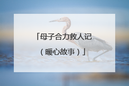 母子合力救人记（暖心故事）