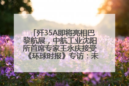 歼35A即将亮相巴黎航展，中航工业沈阳所首席专家王永庆接受《环球时报》专访：未来数量可以有很多
