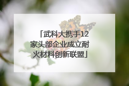武科大携手12家头部企业成立耐火材料创新联盟