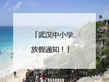 武汉中小学放假通知！