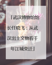 武汉博物馆馆长任晓飞：从武汉出土文物看千年江城变迁