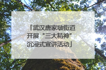 武汉唐家墩街道开展“三大精神”沉浸式宣讲活动