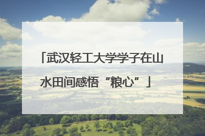 武汉轻工大学学子在山水田间感悟“粮心”