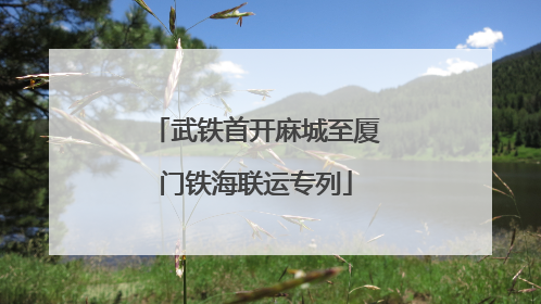 武铁首开麻城至厦门铁海联运专列