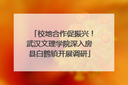校地合作促振兴！武汉文理学院深入房县白鹤镇开展调研