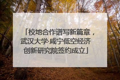 校地合作谱写新篇章，武汉大学·咸宁低空经济创新研究院签约成立