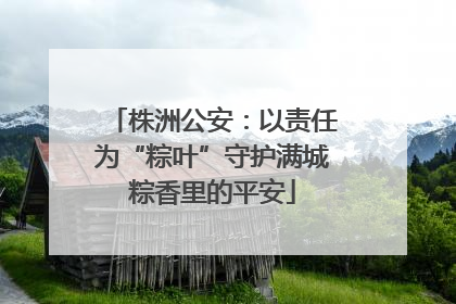 株洲公安：以责任为“粽叶”守护满城粽香里的平安