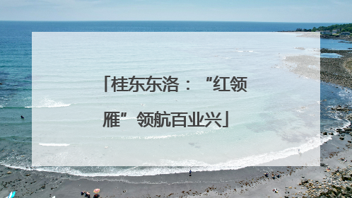 桂东东洛:“红领雁”领航百业兴