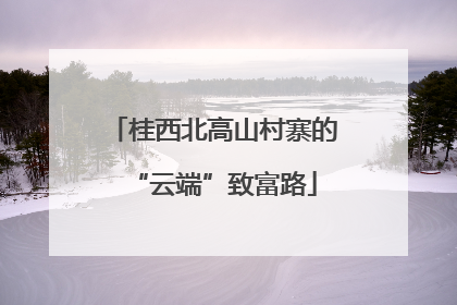 桂西北高山村寨的“云端”致富路
