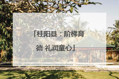 桂阳县：阶梯育德 礼润童心