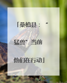 桑植县：“猛兽”当前 他们在行动