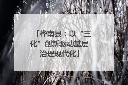 桦南县：以“三化”创新驱动基层治理现代化