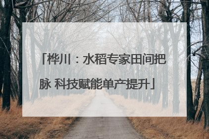 桦川：水稻专家田间把脉 科技赋能单产提升