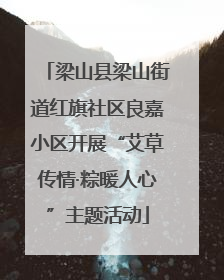 梁山县梁山街道红旗社区良嘉小区开展“艾草传情·粽暖人心”主题活动