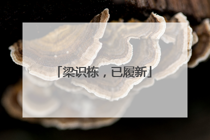 梁识栋，已履新