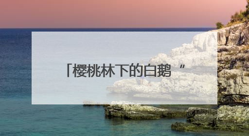 樱桃林下的白鹅“除草工” 奏响生态致富“向天歌”
