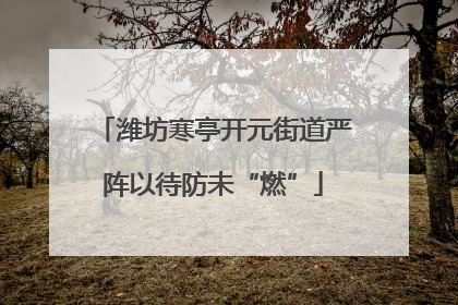 潍坊寒亭开元街道严阵以待防未“燃”