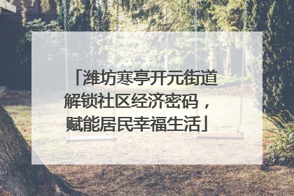 潍坊寒亭开元街道解锁社区经济密码，赋能居民幸福生活