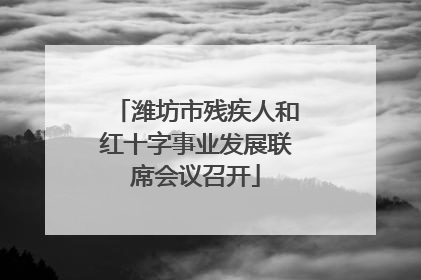 潍坊市残疾人和红十字事业发展联席会议召开