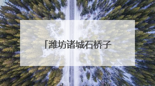 潍坊诸城石桥子镇：绣花功夫织密平安网 百姓日子越过越踏实