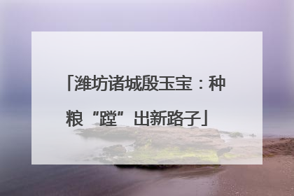 潍坊诸城殷玉宝：种粮“蹚”出新路子