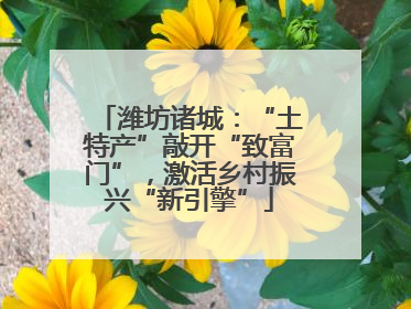 潍坊诸城：“土特产”敲开“致富门”，激活乡村振兴“新引擎”