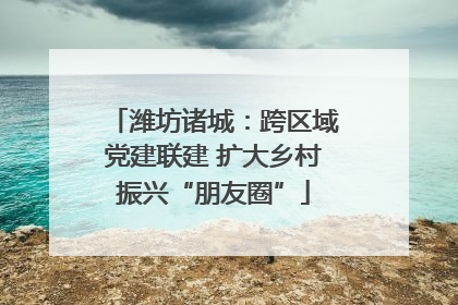 潍坊诸城：跨区域党建联建 扩大乡村振兴“朋友圈”